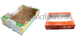 Các mẫu khay giấy carton đựng hoa quả tại Bao Bì Quốc Thịnh