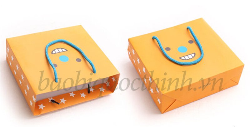 Các mẫu túi giấy đẹp của Bao Bì Quốc Thịnh tại Quận 1