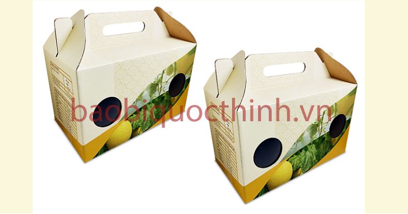 Hộp carton đựng dưa lưới có in thương hiệu tại Bao Bì Quốc Thịnh