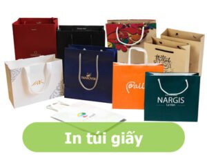 In túi giấy đựng giày dép thời trang tại Bao Bì Quốc Thịnh