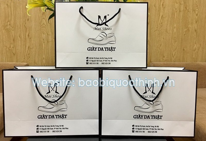 Mẫu túi giấy đẹp chất lượng tại Bao Bì Quốc Thịnh
