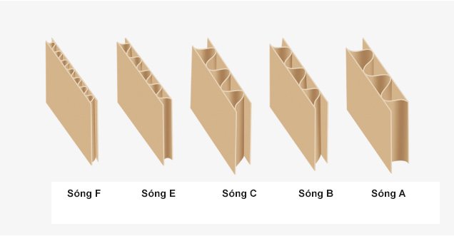 Các loại sáo